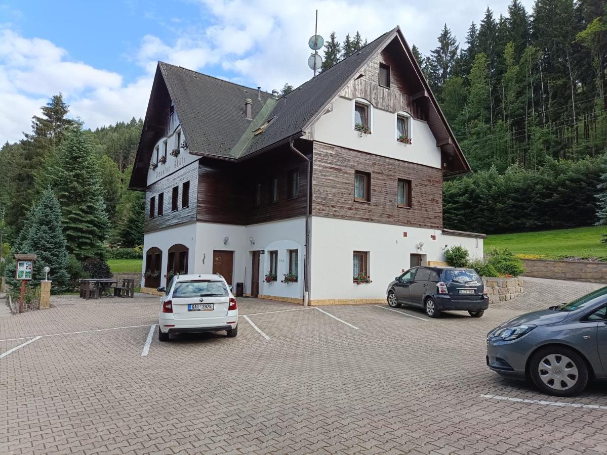 Pension Skaly Teplice nad Metuji Exterior photo